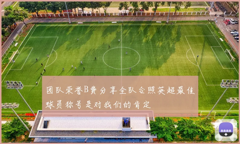 团队荣誉B费分享全队合照英超最佳球员称号是对我们的肯定